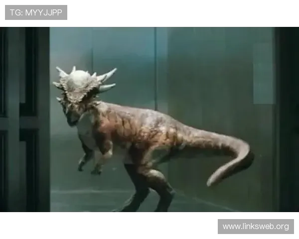 金鲨银鲨:海底世界中的两大传奇巨兽背后的科学与传说解析 金鲨银鲨:海底世界中的两大传奇巨兽背后的科学与传说解析