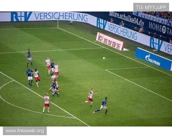 凯发体育官方合作伙伴介绍及合作流程详解