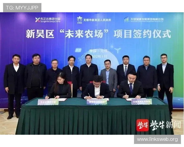 南宫集团在网络游戏行业的创新发展与未来战略分析